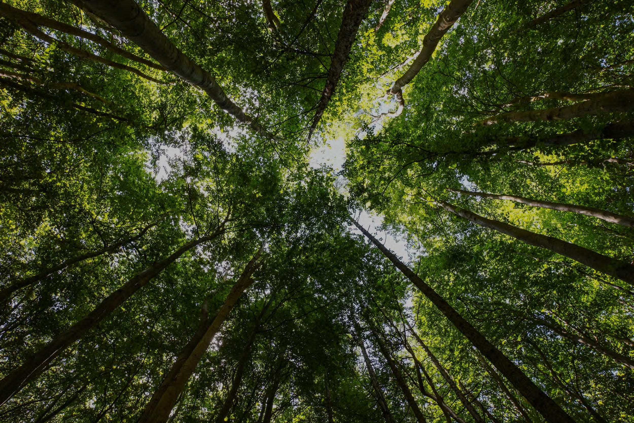 Sustainability
